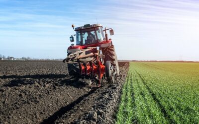 Commercialista per agricoltura: guida alla gestione fiscale, contabile e ai finanziamenti